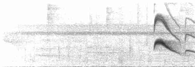 skogtyrann (flaviventris gr.) - ML74349601