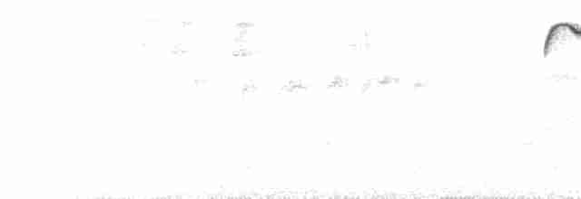 Tangara à poitrine fauve (stictocephala) - ML74451751