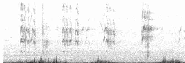 Малый пегий зимородок - ML74558521