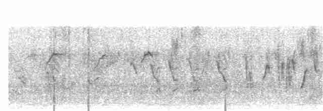 Кропив'янка прудка (підвид curruca/blythi/hamertoni) - ML74628541