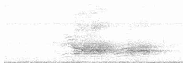 Tüpfellaubenvogel - ML74702041