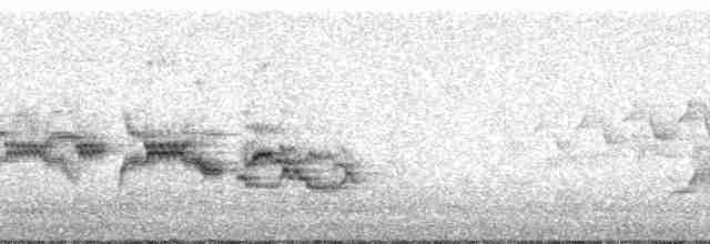 Дрізд-короткодзьоб бурий - ML74732