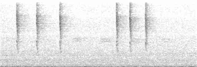 Troglodyte de Baird - ML74781661