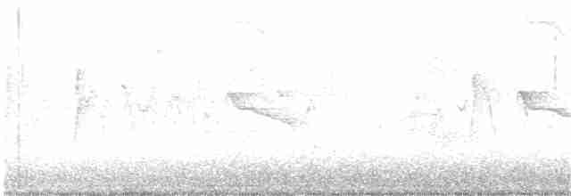 Black-chinned Hummingbird - ML74934541