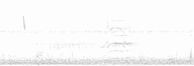 Büyük Kiskadi Tiranı - ML74991941