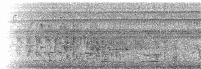 Пірникоза рябодзьоба - ML75013091