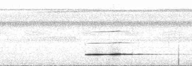 Cinereous Tinamou - ML75034