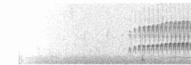 Eye-ringed Thistletail - ML75036731