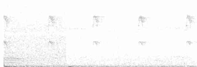Белобрюхий солнечник - ML75226971