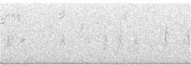 Bruant à couronne blanche (gambelii) - ML75255691