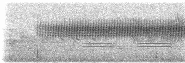 Cırcır Sesli Serçe - ML75263881