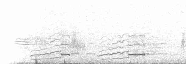 Western Meadowlark - ML75268131