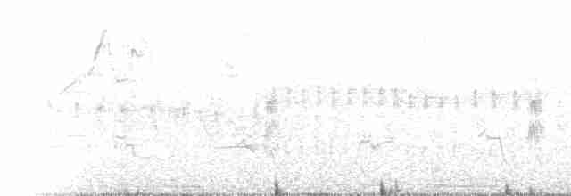 Western Meadowlark - ML75268411