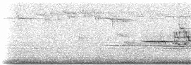 Дрізд-короткодзьоб плямистоволий - ML75287181
