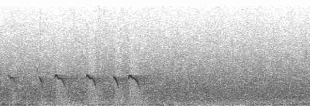 White-browed Shrike-Babbler - ML75304