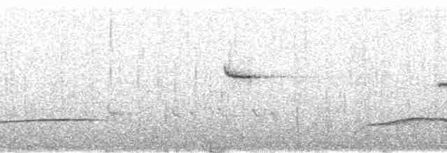 Чагарниця рудохвоста - ML75307