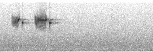 Russet Bush Warbler - ML75309