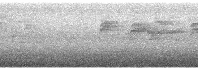 Зондская кукушка - ML75371