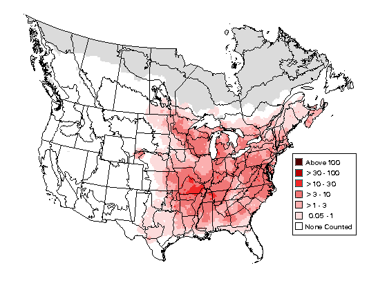 Eastern Wood Pewee Range