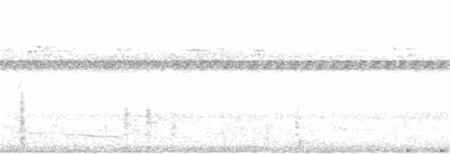 Great Eared-Nightjar - ML75615461