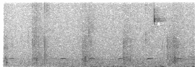 Сичик-горобець світлоголовий - ML75617631