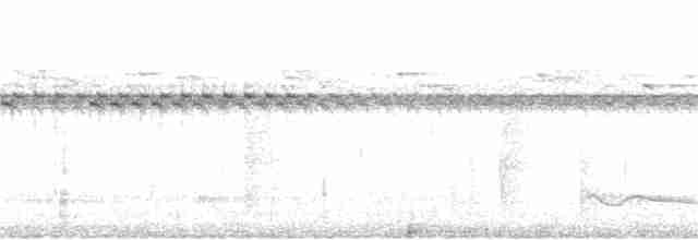 Great Eared-Nightjar - ML75618291