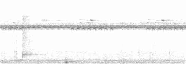 Great Eared-Nightjar - ML75619921