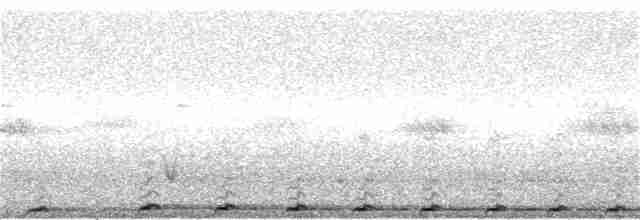 Pheasant Coucal (Pheasant) - ML75695431