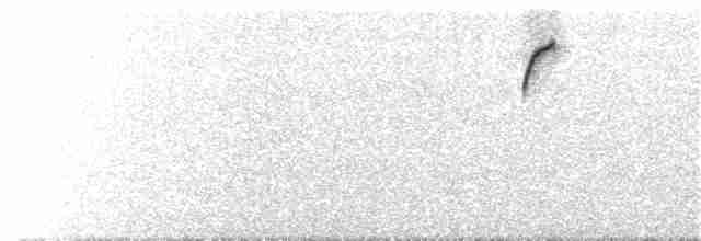 White-rimmed Brushfinch - ML75702151