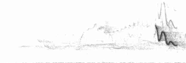 Заросляк сірогрудий (підвид taczanowskii) - ML75703521