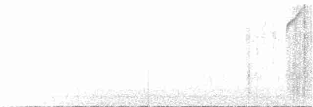 Kusko Çalı Serçesi - ML75712141