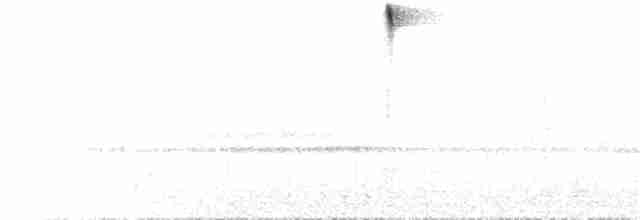 Brustfleck-Buschammer - ML75713001