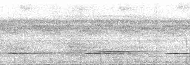 Bartlett's Tinamou - ML75963