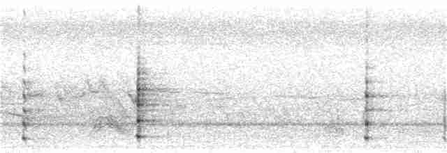 perlička kropenatá (domestikovaná) - ML75995121