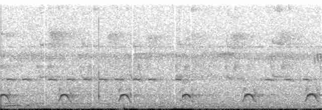 Black-tailed Trogon - ML76037821
