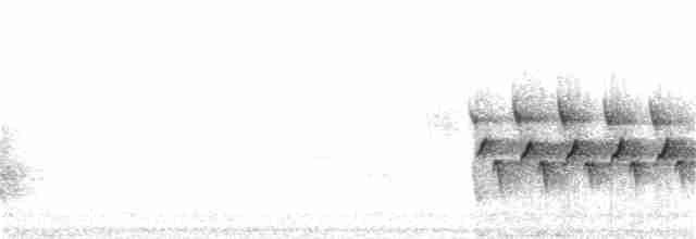 Каролинский крапивник - ML76106951