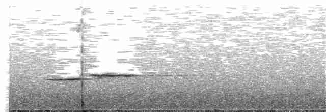 Gri Sırtlı Bülbül Ardıcı - ML76216901