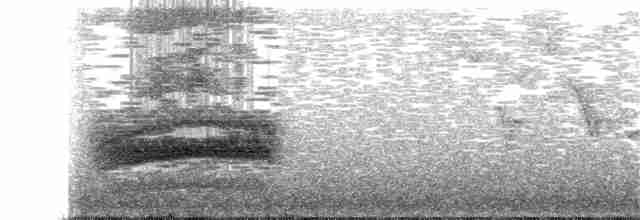 Gri Sırtlı Bülbül Ardıcı - ML76218221