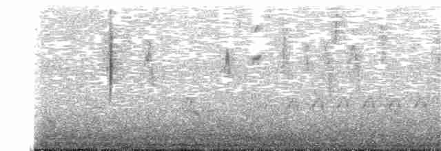 Kısa Kuyruklu Tiran - ML76218891
