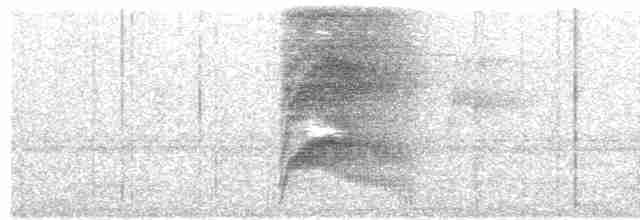 Large-tailed Antshrike - ML76219611