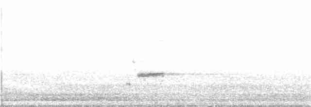 Loggerhead Shrike - ML76334031