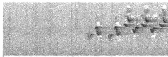 Gray-cheeked Warbler - ML76336121