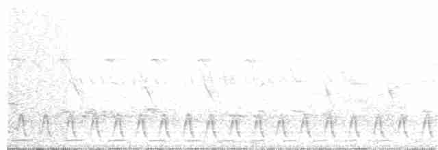 Slender-tailed Nightjar - ML76492451