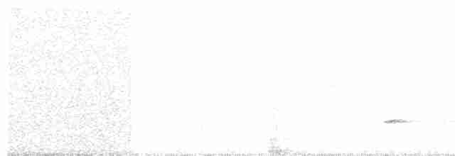 Small-billed Tinamou - ML76503041