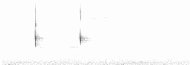White-throated Treerunner - ML76528791