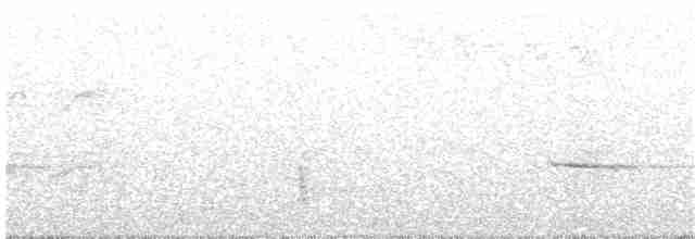 Münzevi Bülbül Ardıcı - ML76544241