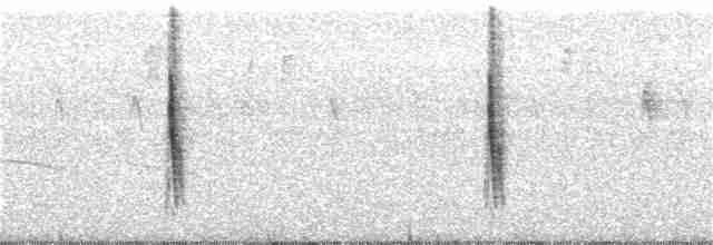Тростниковый крапивник - ML76547511