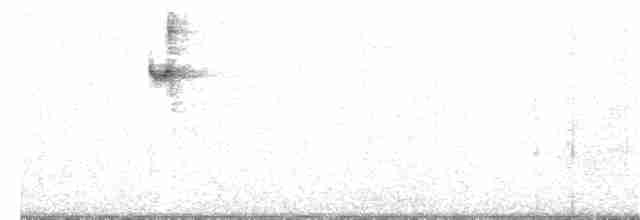 Колібрі-самоцвіт синьогорлий - ML76623171