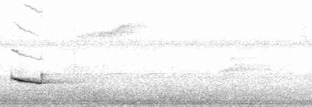 Braunrücken-Ameisenvogel [exsul-Gruppe] - ML76682