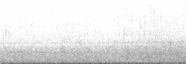 Kara Karınlı Kumkuşu - ML76794101